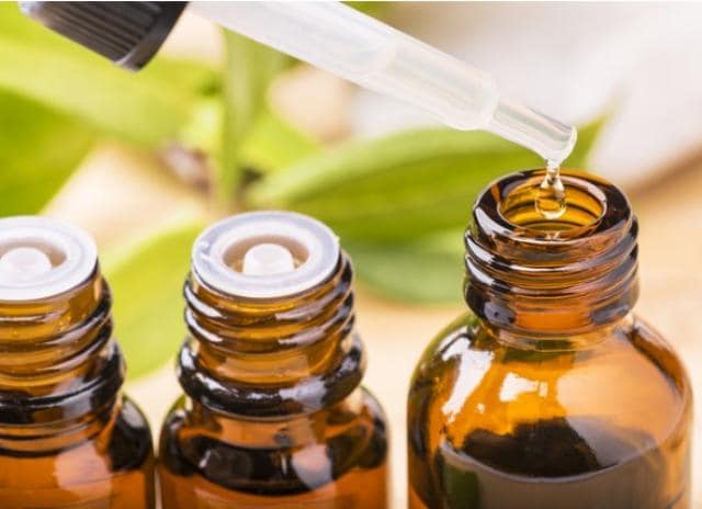 宠物身上的跳蚤和蜱使用精油安全吗？Petmd.